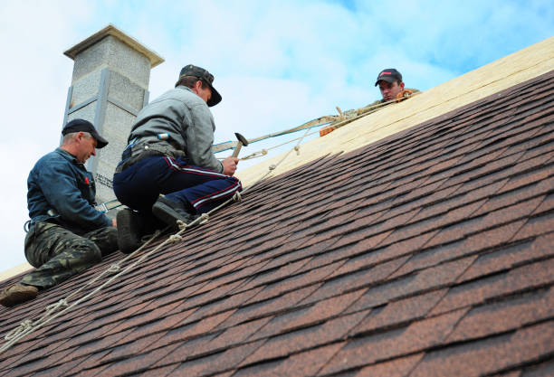 Quick and Trustworthy Emergency Roof Repair Services in Lincoln Park, PA